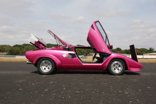 Lamborghini Countach Special - Gallery pic 24